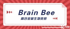 神經(jīng)科學(xué)生必選的Brain Bee腦科學(xué)大賽詳解，5-12年級(jí)均可參加