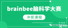 BrainBee競(jìng)賽為何值得參加？BrainBee培訓(xùn)課程推薦