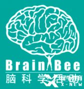 Brain bee腦科學(xué)競賽報(bào)名即將開啟，5-12年級均可參加的生物競賽~