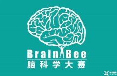 Brainbee腦科學(xué)競(jìng)賽含金量高嗎？犀牛Brainbee競(jìng)賽沖刺基礎(chǔ)班報(bào)名中~