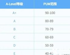 上海全日制a-level培訓(xùn)班介紹！