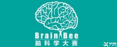 為什么Brain Bee腦科學大賽越來越受歡迎？附24年Brain Bee比賽時間