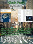 Brainbee腦科學(xué)大賽是什么？犀牛Brainbee競(jìng)賽培訓(xùn)班還在招生中……