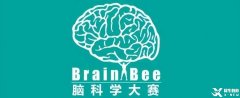 Brain Bee腦科學大賽備考須知！備考Brain Bee競賽考前輔導培訓班有嗎？