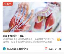 2024年BBO生物競賽怎么報名？建議同時報名BBO&USABO！