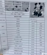 上海三公學(xué)校錄取率怎么樣？