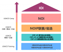 USACO競賽難度是怎樣的？競賽與國內(nèi)NOIP的區(qū)別分析