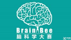 Brainbee腦科學(xué)大賽，零基礎(chǔ)居然也能參加的生物競賽！