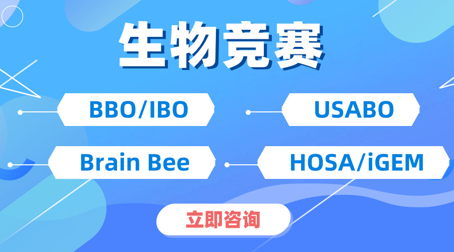 速來圍觀！深度剖析 USABO 和 BBO區(qū)別在哪？不同體系如何備考？